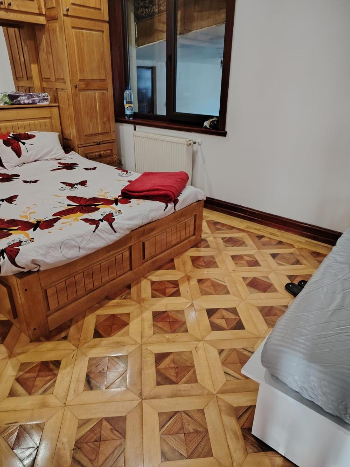 Casa De Vacanta Тыргу-Жиу Экстерьер фото